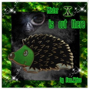 Hedgehog - Mister X